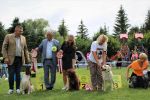  03 Wystawa psów myśliwskich w Lutowiskach