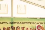  3 MWPR w Przemyślu