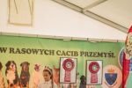  3 MWPR w Przemyślu