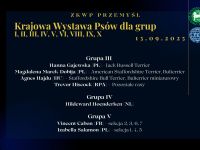 Czytaj więcej...