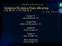 Czytaj więcej...