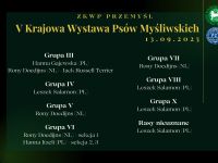 Czytaj więcej...